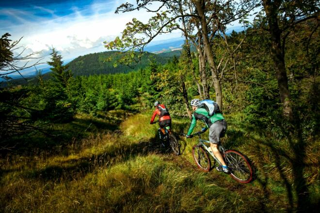 Downhill at its best