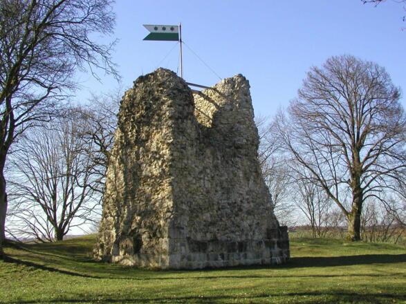 Güssenburg in Hermaringen