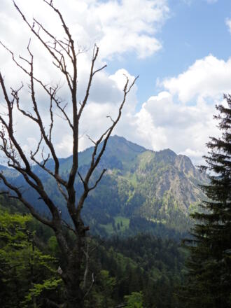 Ausblick zum Hochgern