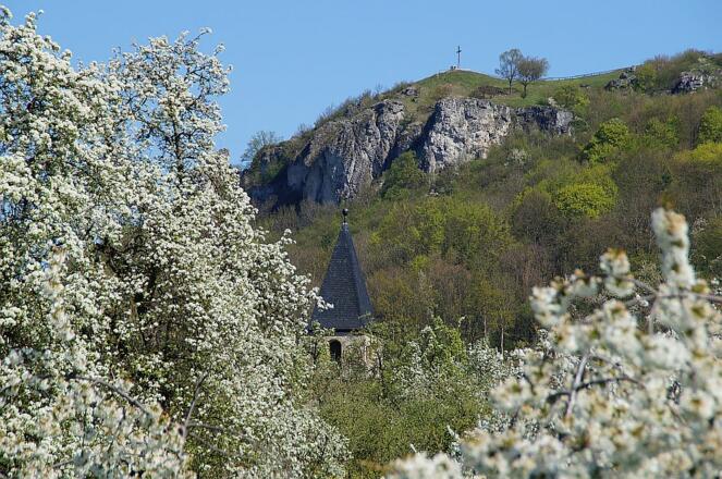 Blick zum Walberla im Frühling