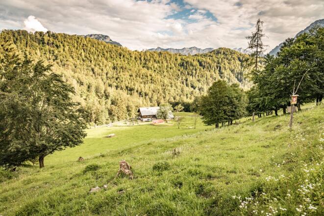Auf dem Weg zur Höllenbachalm