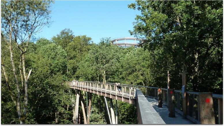 Baumwipfelpfad bei Ebrach