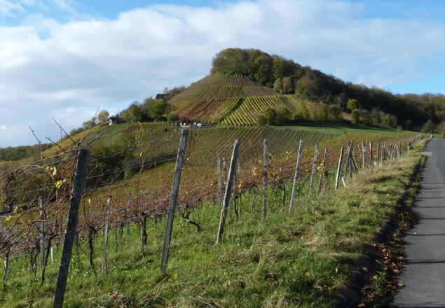 Stollberg, Frankens malerister und höchster Weinberg