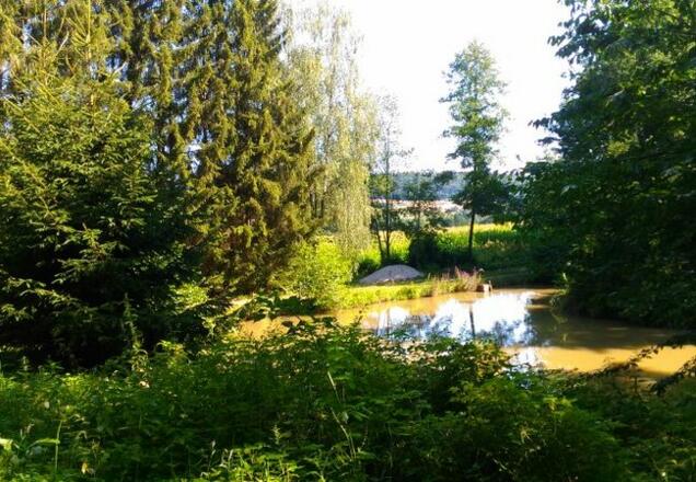 Unterhalb von Haimburg