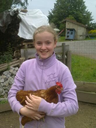 Besuch bei den Hühnern