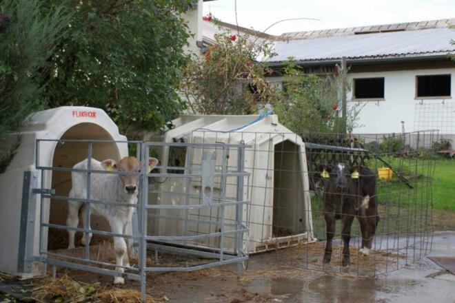 big_16135532_0_1024-685