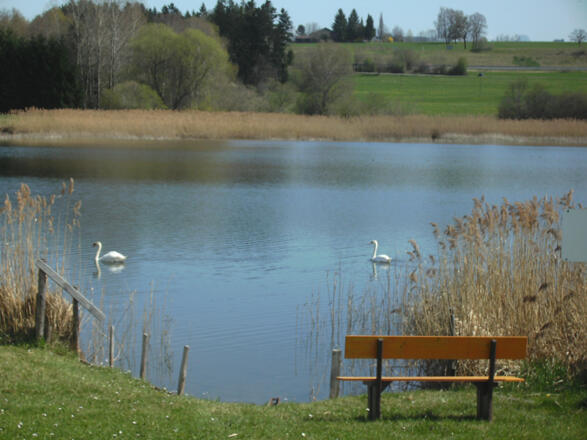 Unser Zugang zum See