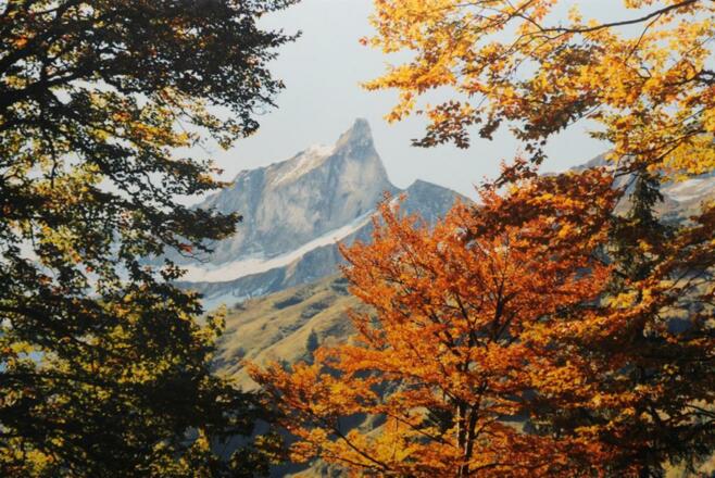 Impressionen: Schneck im Herbstlich