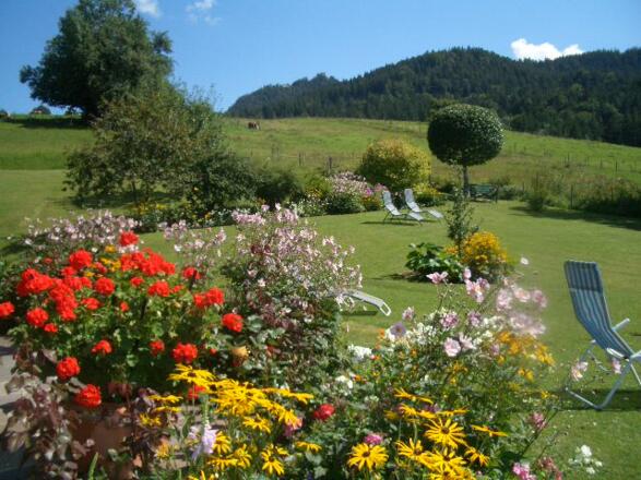 Blick v. Balkon in den Garten