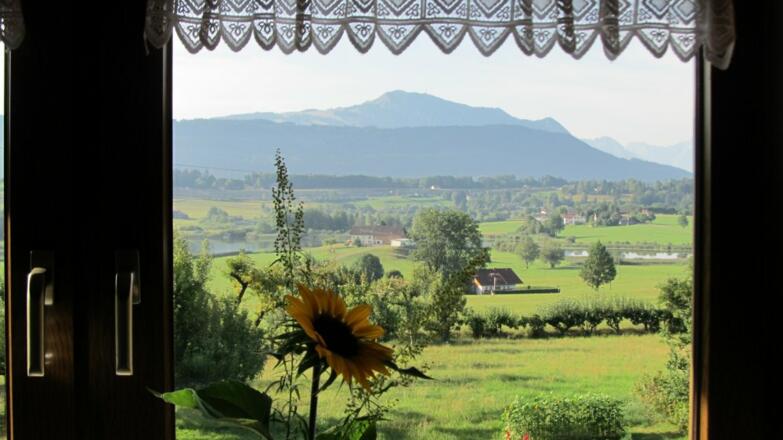 Blick aus der Ferienwohnung &quot;Panoramablick&quot;
