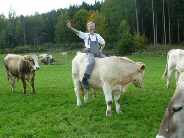 aufdenochsendarfnurderbauerselbstreiten