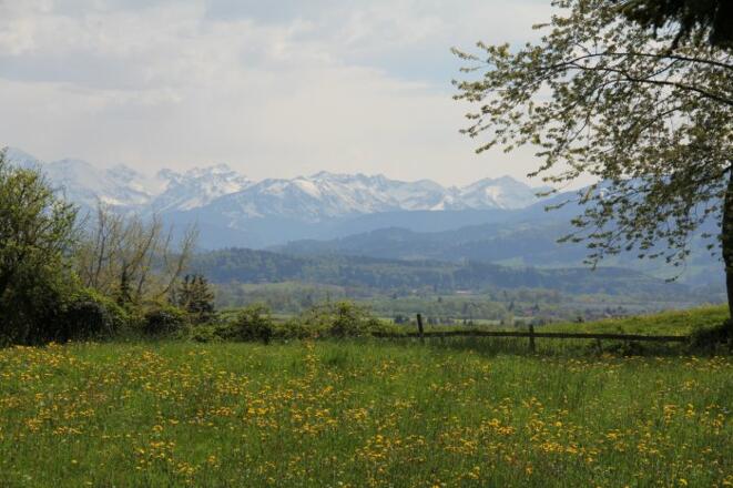 Ein Blick in die Allgäuer Alpen