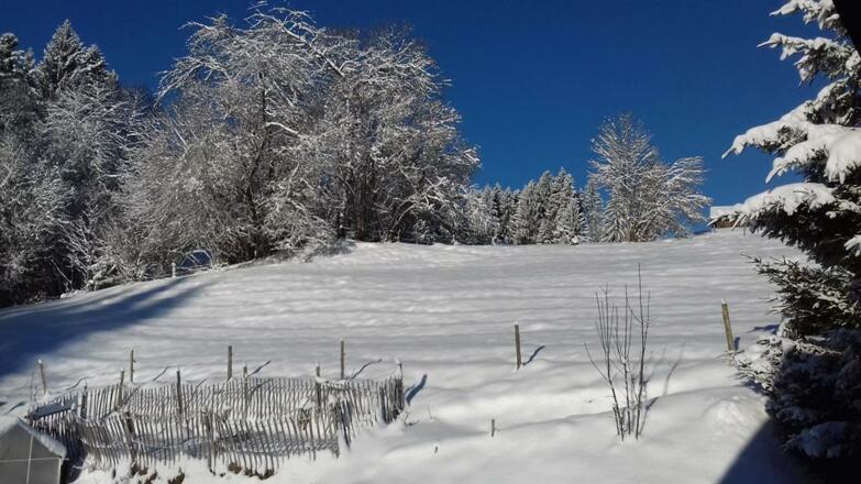 Winterzauber in Fischen-Langenwang