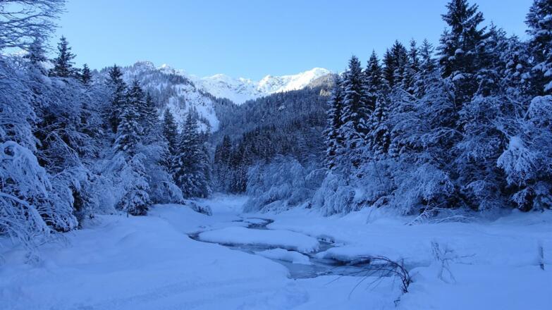 im Hintersteiner Tal