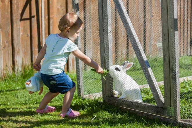 hagenauer_benjamin_zapf_70