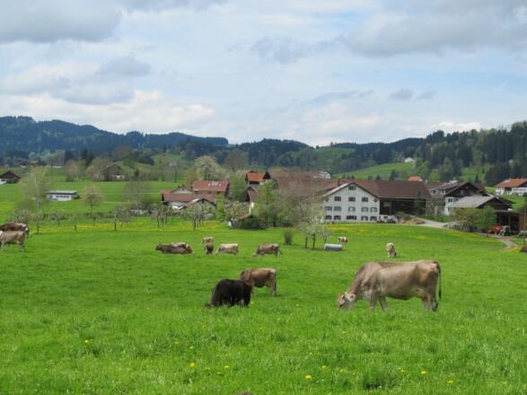 Biohof Johannes Hörburger