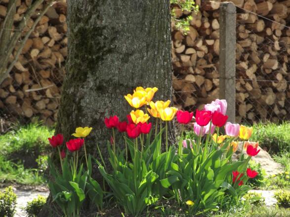 Historischer Pfarrhof Niederleierndorf