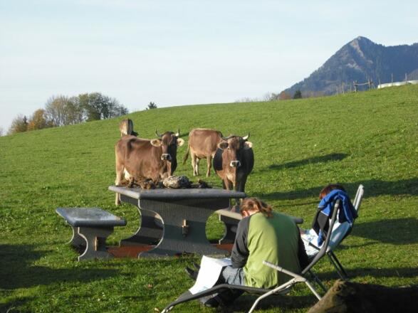 Urlaub mitten in der Natur