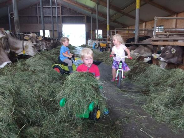 im Stall mitten dabei