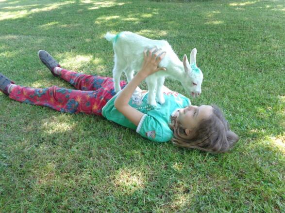 Mensch &amp; Tier auf Du &amp; Du