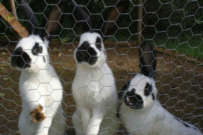 big_16135530_0_1024-685