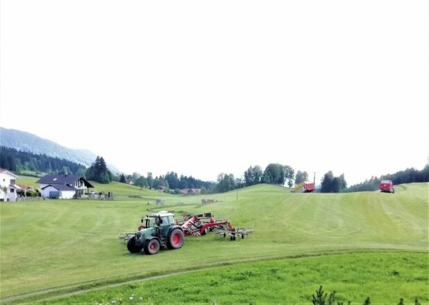 img_20190617_1630442