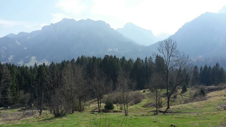 Blick vom Kienberg zum Tegelberg