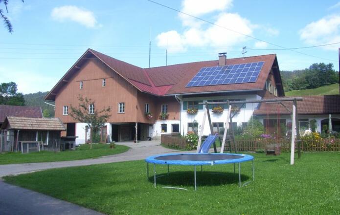 Hof, Trampolin, Schaukel