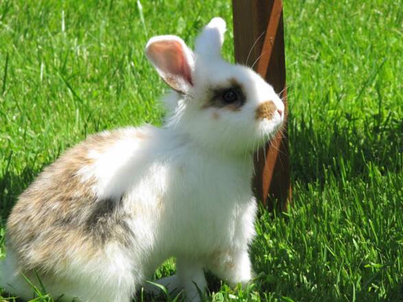 bauernhof-erlebnis-06