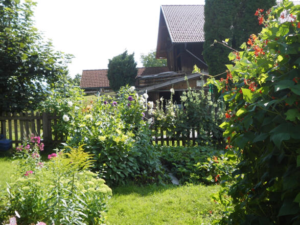 Blütenpracht im Garten