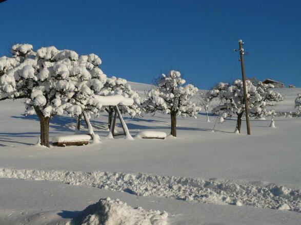 Blick aus den FeWos 1,2 und 3 - Wintertraum