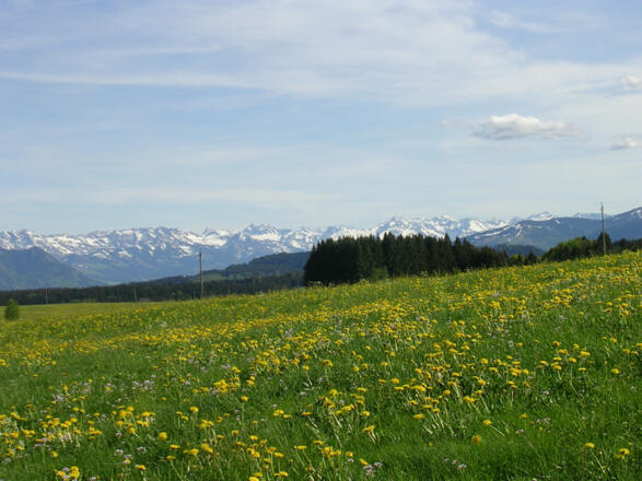 Spaziergang in Eschach