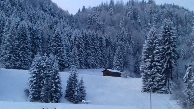 Schöne Aussicht - Winter in Fischen im Allgäu