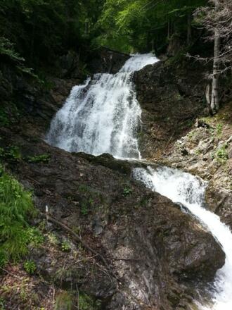 20140715_140021_Trivago