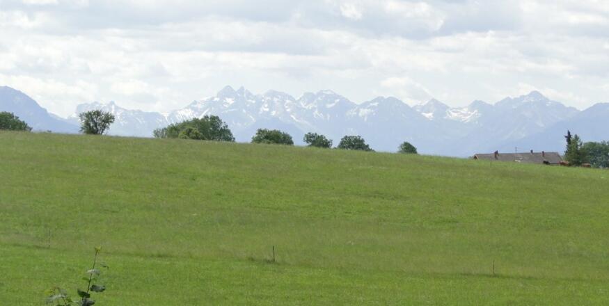 Blick in die Allgäuer Alpen