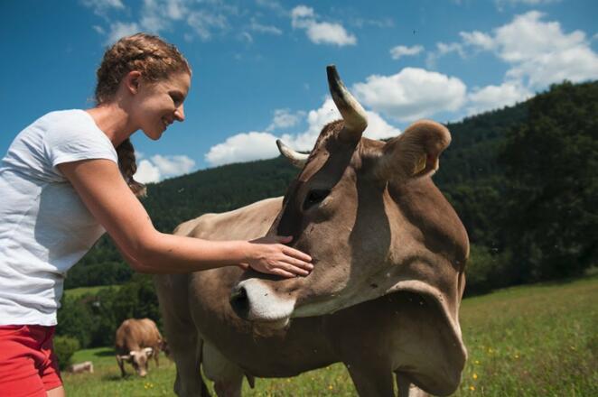 Begegnung auf unseren Weiden