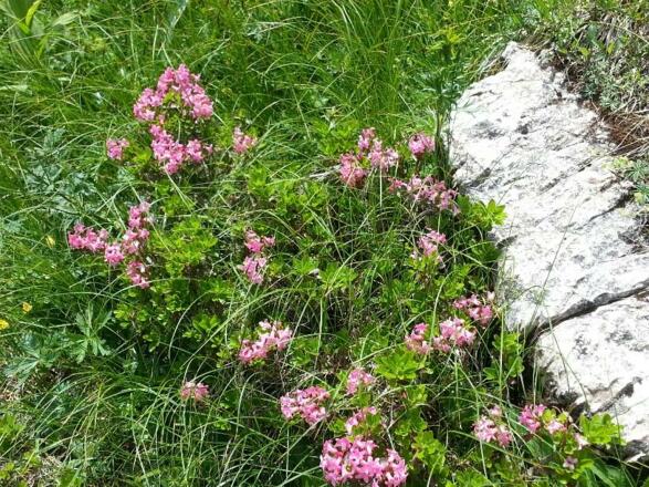 20140701_122920_Trivago