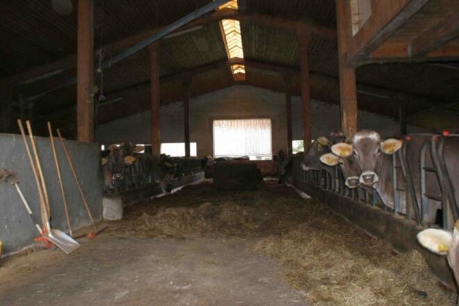 big_16135527_0_1024-685