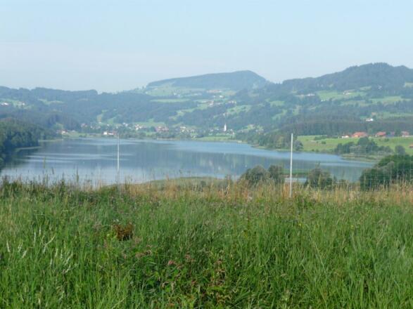 Blick auf den See