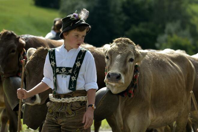 Viescheid in Bad Hindelang