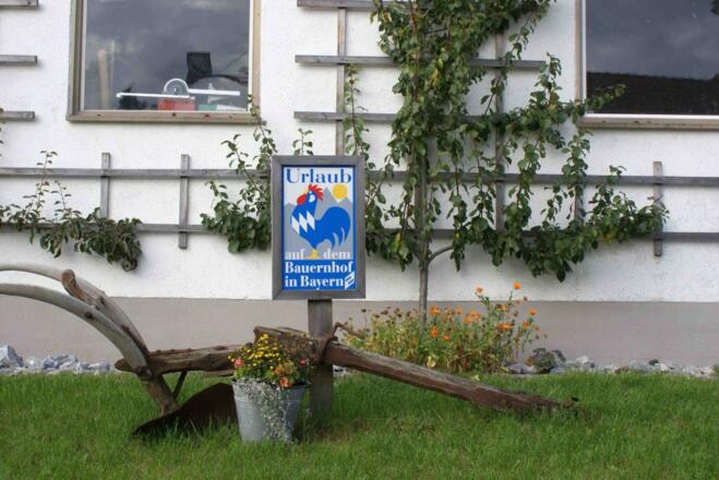 big_16135535_0_1024-685