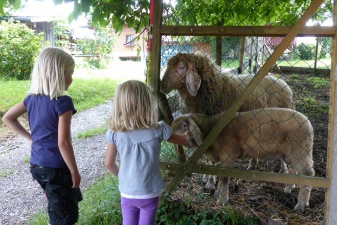 Unsere Schafe