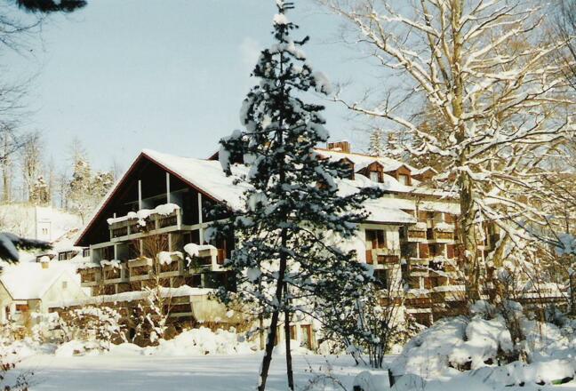 Europarkhotel im Winter