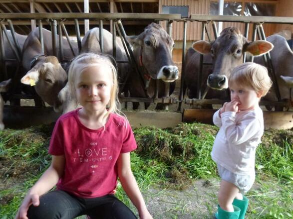 im Stall mitten dabei