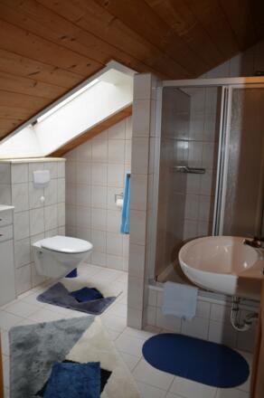 Dusche und WC in Fewo Bergblick