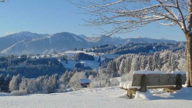 Im Sommer ist es gemütlicher auf unserer Bank 100 m vom Haus