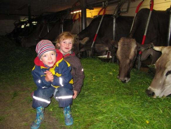 Kinder im Stall