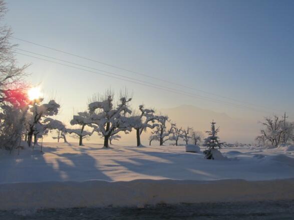 Winterwunderland direkt vor der Haustüre ...
