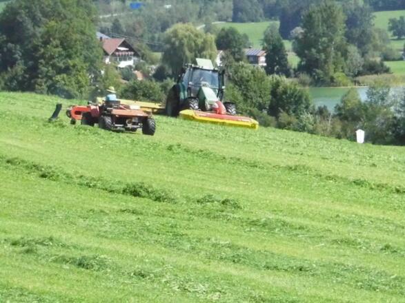 Der große und der kleine Bauer