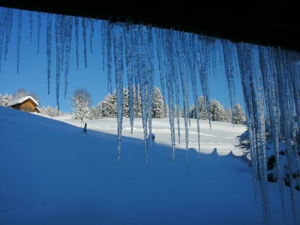 Eiszapfen - Winter im Allgäu